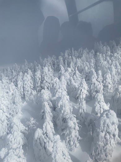2024.1.28 蔵王(雪山)