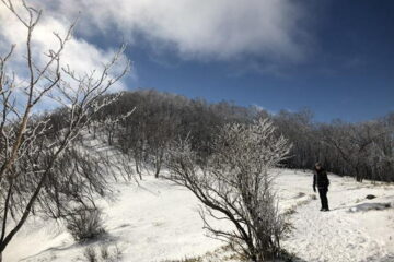2022.1.3　赤城山(黒檜山)（尾根歩き）