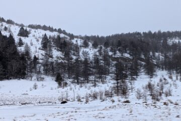 2026.2.7　篭ノ登山（雪山）