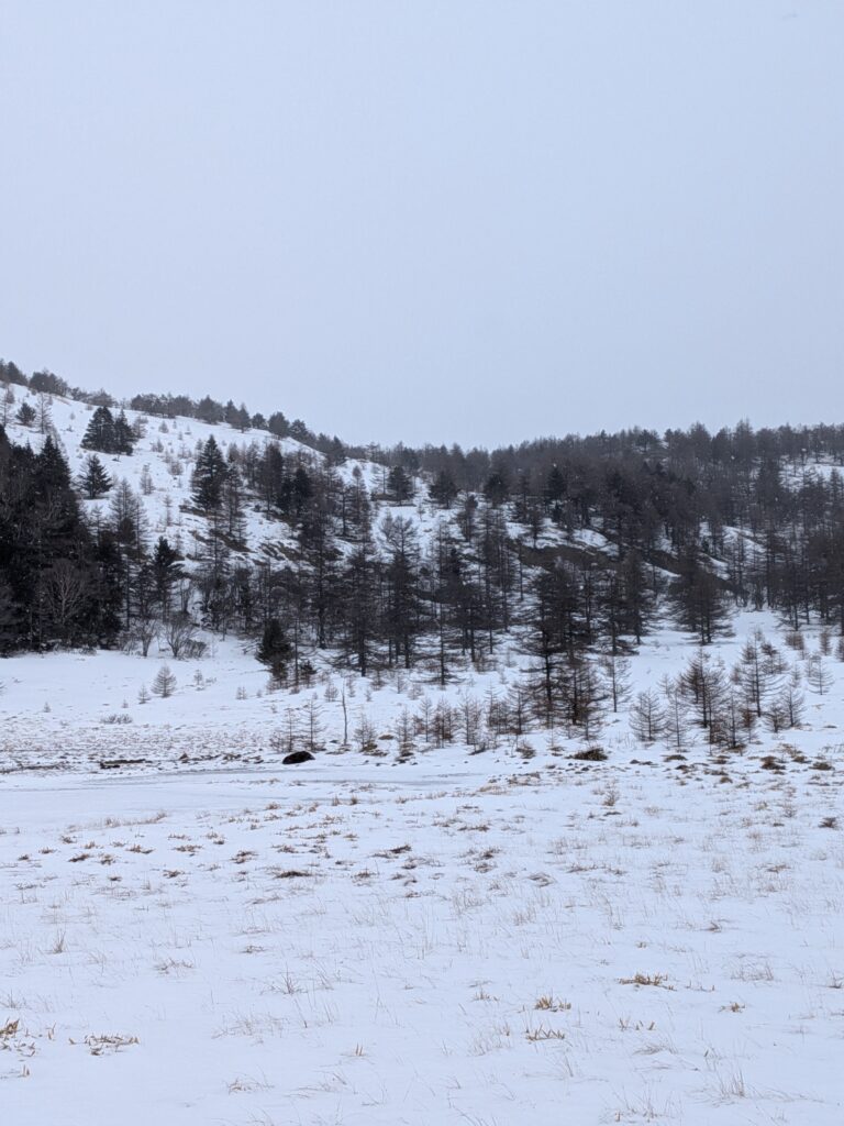2026.2.7　篭ノ登山（雪山）