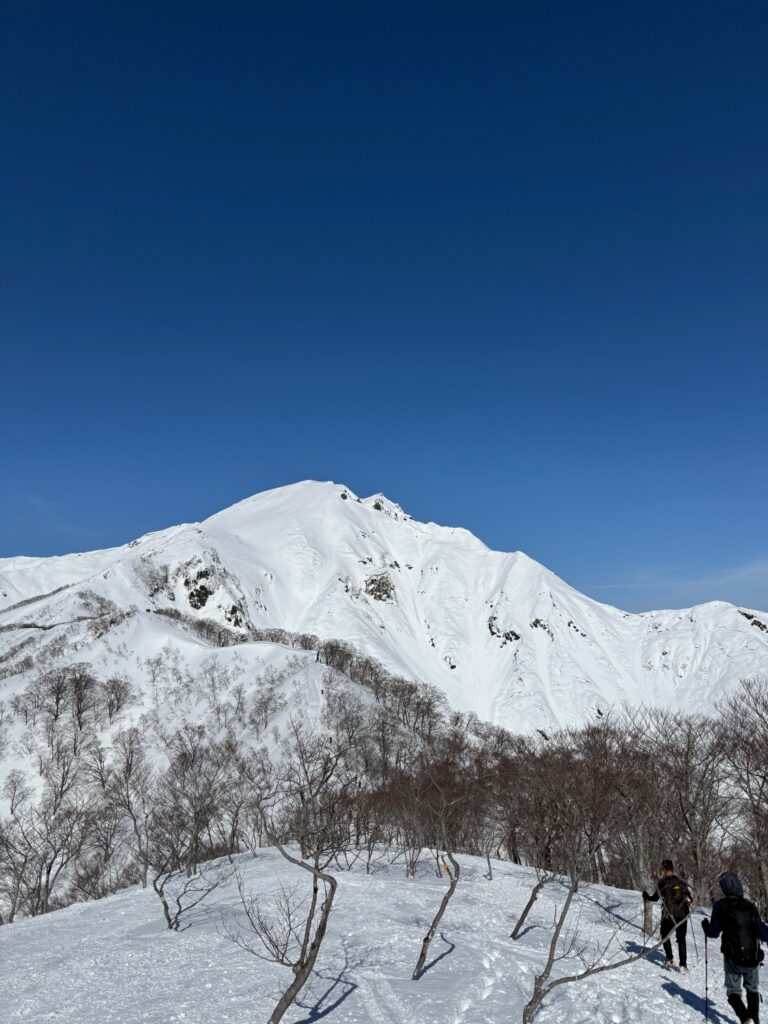 2026.2.21 谷川岳(雪山)