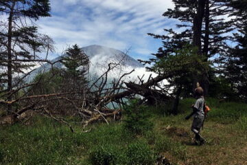 2021.06.12　日光・三ノ宿山（尾根歩き）