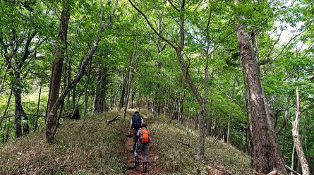 2021.06.12 日光・三ノ宿山(尾根歩き)