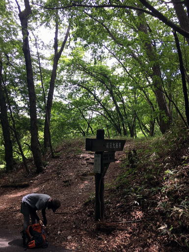 2021.06.12 日光・三ノ宿山(尾根歩き)