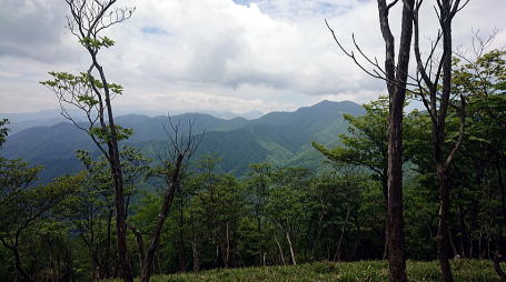 2021.06.12 日光・三ノ宿山(尾根歩き)