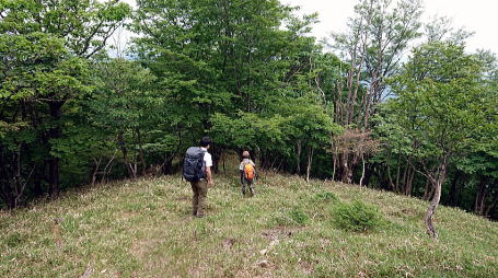 2021.06.12 日光・三ノ宿山(尾根歩き)