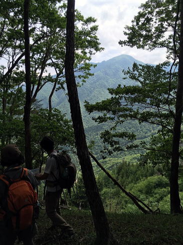 2021.06.12 日光・三ノ宿山(尾根歩き)