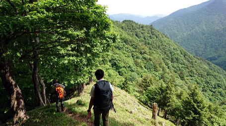 2021.06.12 日光・三ノ宿山(尾根歩き)