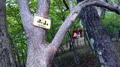 2021.06.12 日光・三ノ宿山(尾根歩き)
