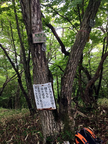 2021.06.12 日光・三ノ宿山(尾根歩き)