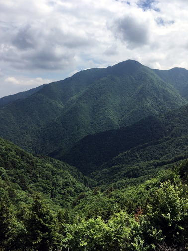 2021.06.12 日光・三ノ宿山(尾根歩き)