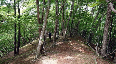 2021.06.12 日光・三ノ宿山(尾根歩き)