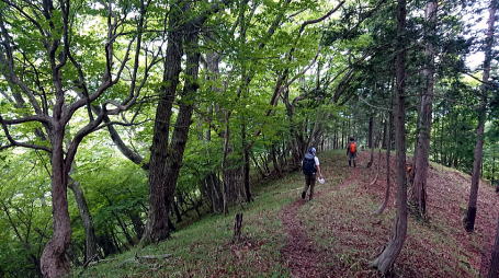 2021.06.12 日光・三ノ宿山(尾根歩き)