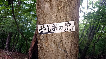 2021.06.12 日光・三ノ宿山(尾根歩き)