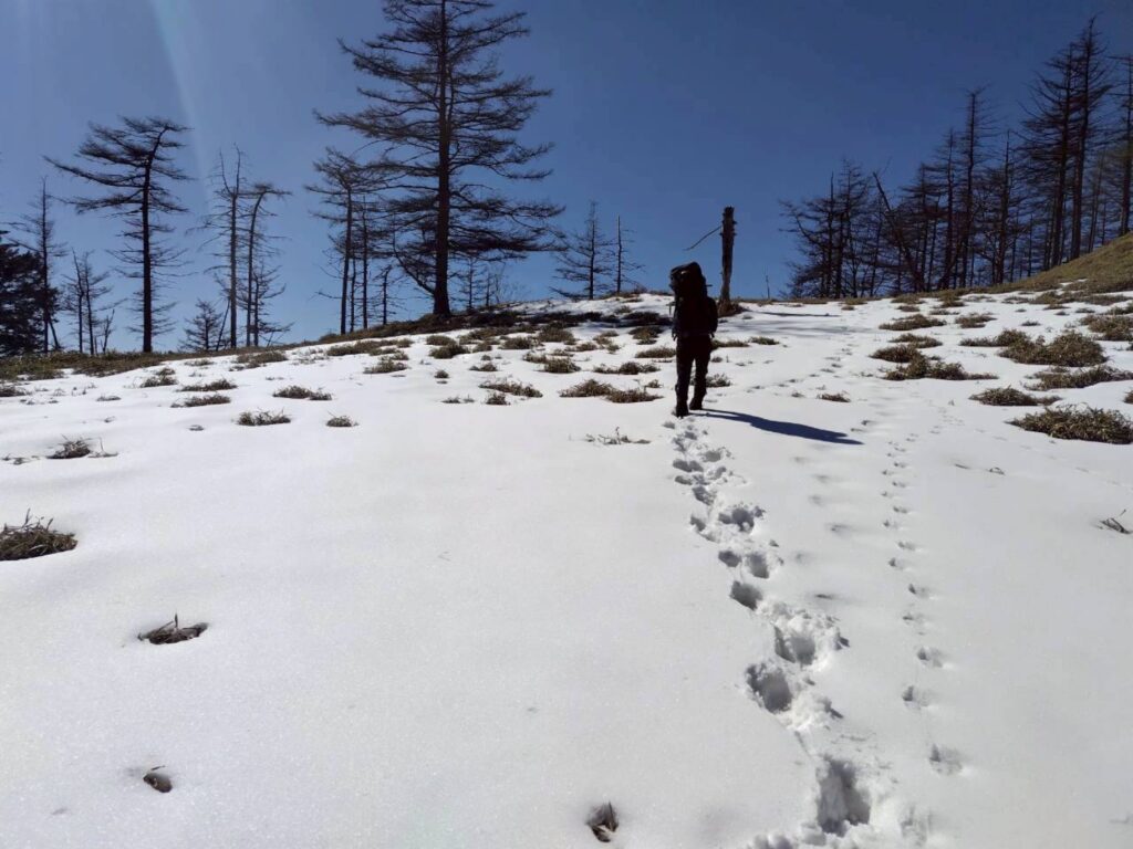 2/21-22　和名倉山（尾根歩き）