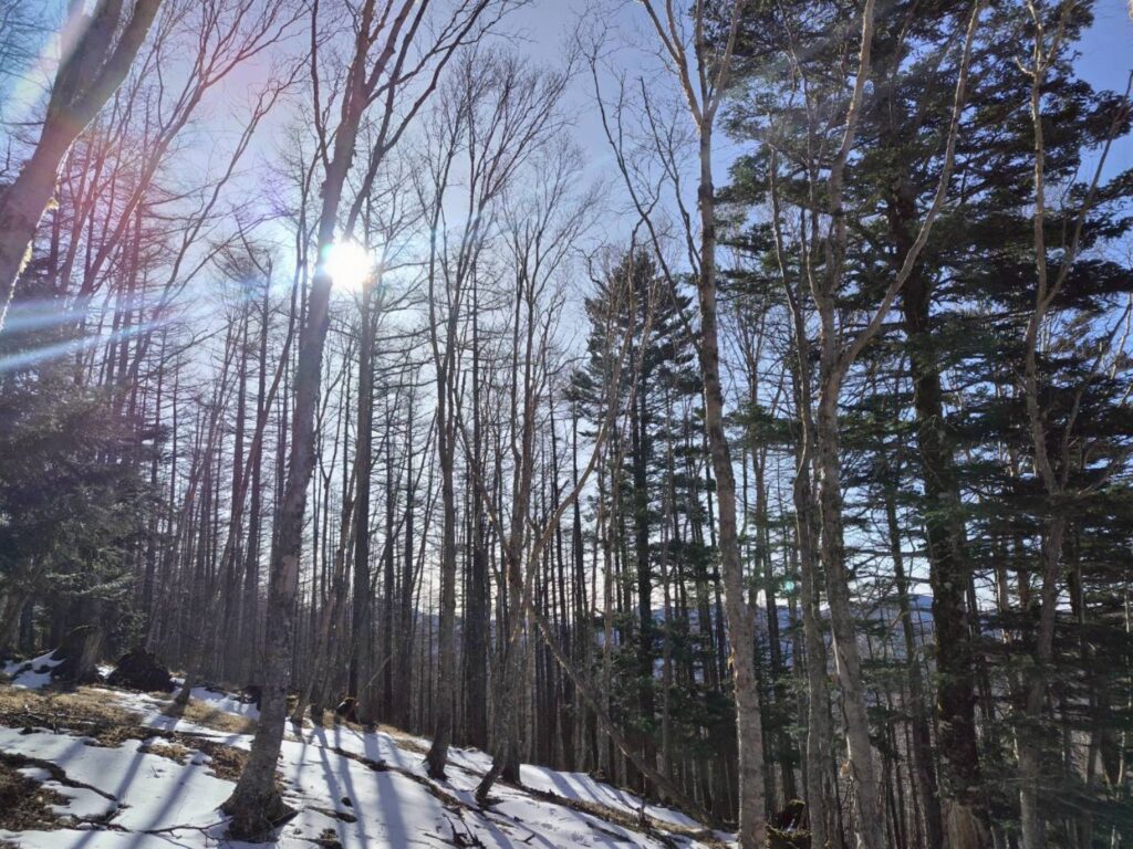 2/21-22　和名倉山（尾根歩き）