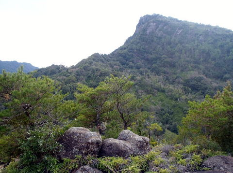 2018.1.4　次郎丸岳・太郎丸岳（尾根歩き）