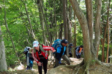 2018.4.30　草戸山・城山（尾根歩き）