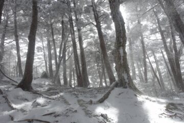 2026.1.25　八ヶ岳・編笠山（雪山）