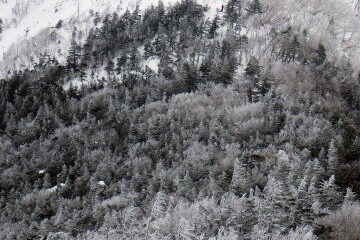 2020.2.8-9　権現岳（雪山・イベント）