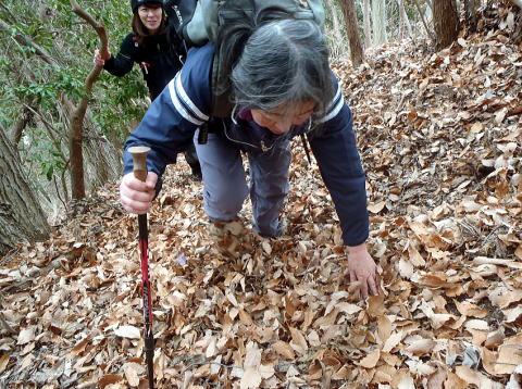 2019.1.6　奥多摩・梵天山（ハイキング）