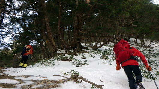 2020.1.25-26 日光白根山(雪山)