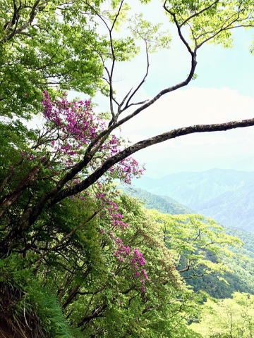 2020.6.7　檜洞丸（ハイキング）
