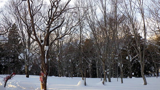 2022.2.12-13 赤沢山(雪山)