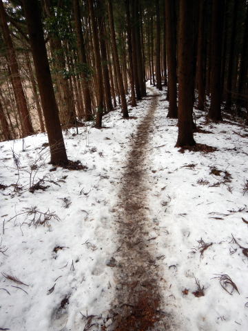 2022.2.19　陣馬山（尾根歩き）