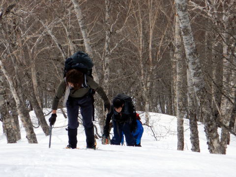 2022.3.12-13　枯木山（雪山）
