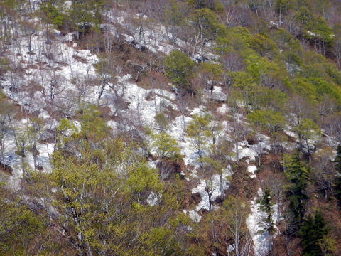 2022.5.3-5　会津駒ケ岳（雪山）