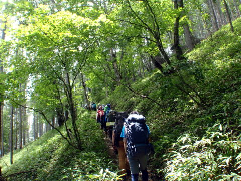 2018.8.4-5　鳳凰三山（尾根歩き）