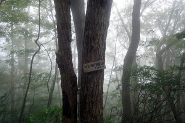 2018.10.8　北高尾　要倉山・高茶山・市道山（尾根歩き）
