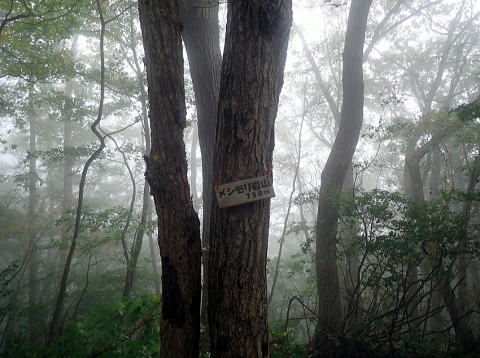 2018.10.8　北高尾　要倉山・高茶山・市道山（尾根歩き）