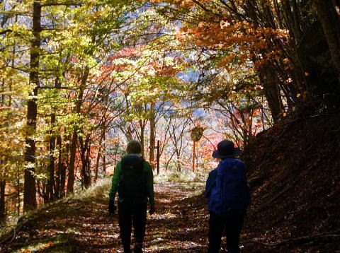 2018.10.20-21 北八ツ 天狗岳・ニュウ(尾根歩き)