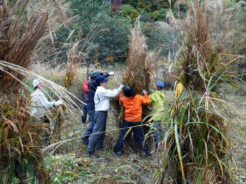 2018.10.27-28　会津駒ケ岳（茅刈り）（尾根歩き・イベント）