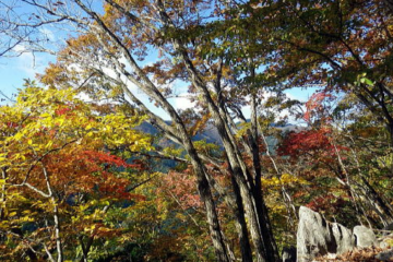 2018.11.10　奥武蔵　武川岳・二子山（尾根歩き）