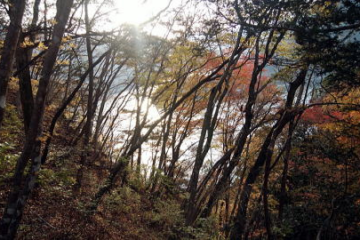 2018.11.25　御前山（尾根歩き）