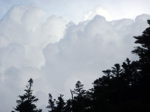2018.8.4-5　鳳凰三山（尾根歩き）