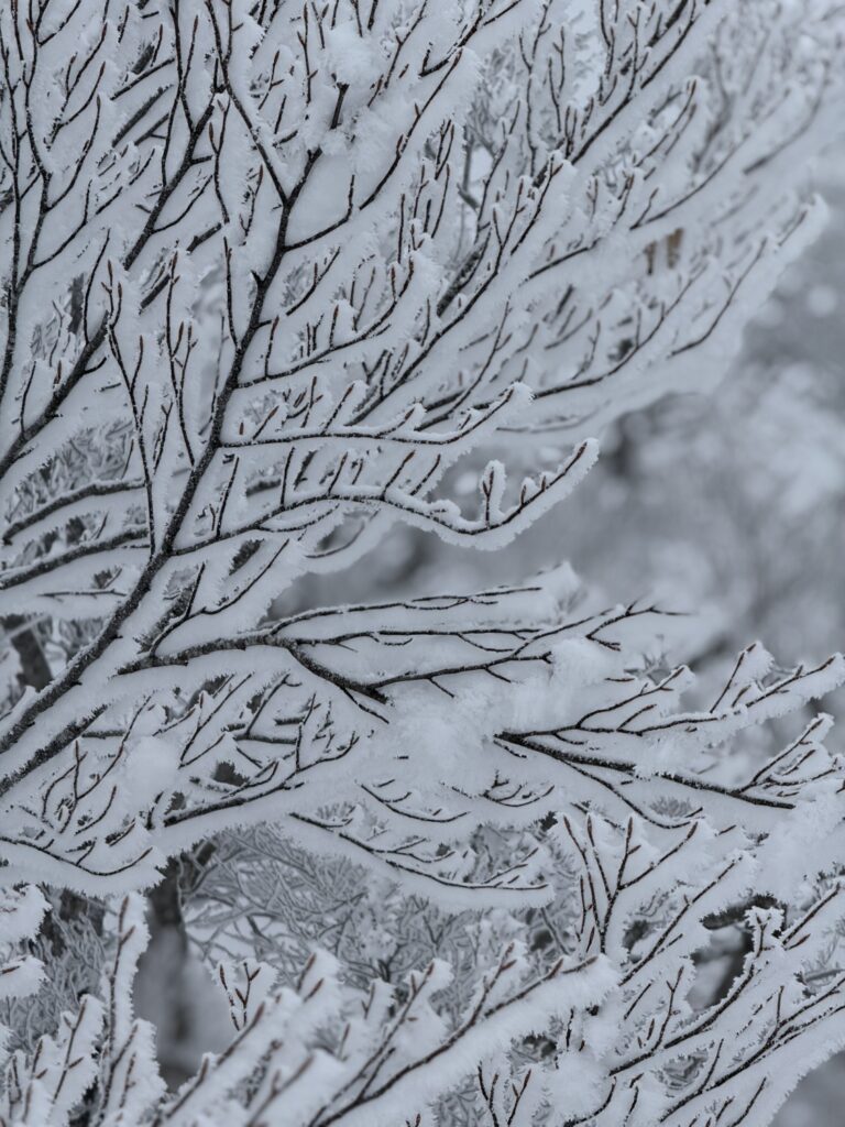 2026.3.14-15　タカマタギ・日白山（雪山）