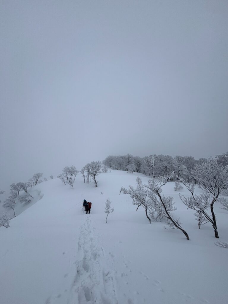 2026.3.14-15　タカマタギ・日白山（雪山）