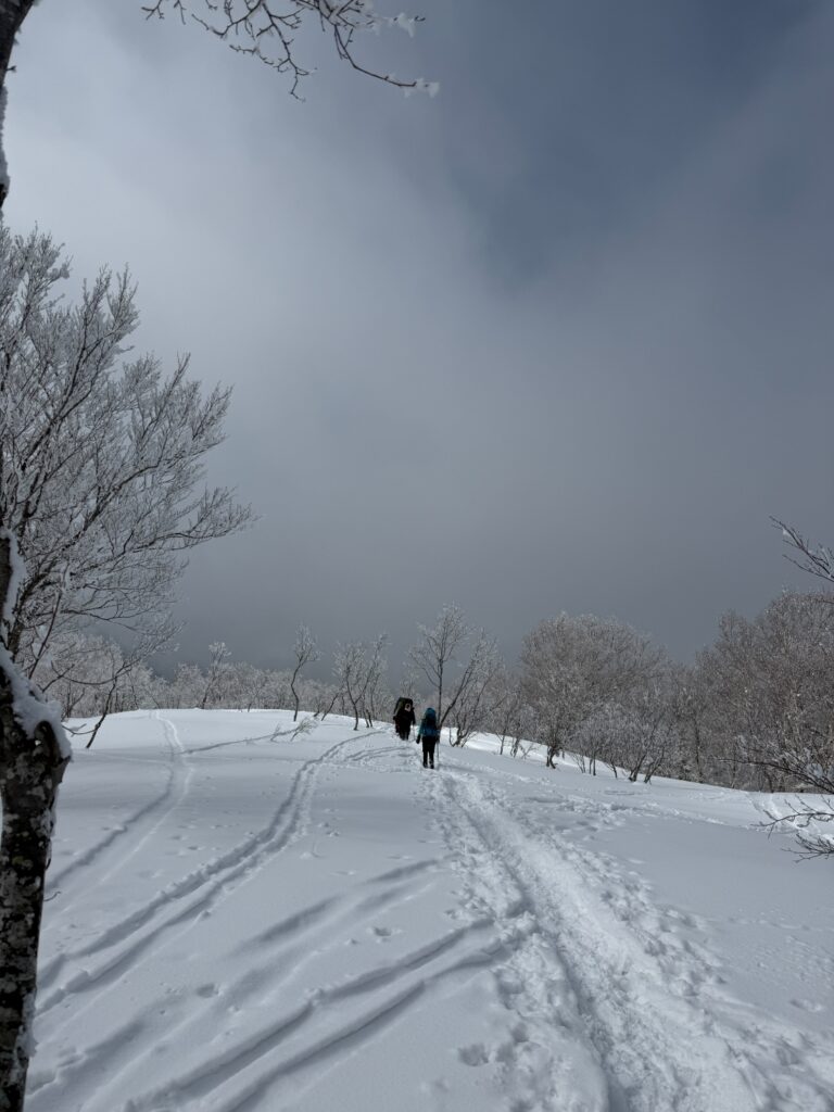 2026.3.14-15　タカマタギ・日白山（雪山）