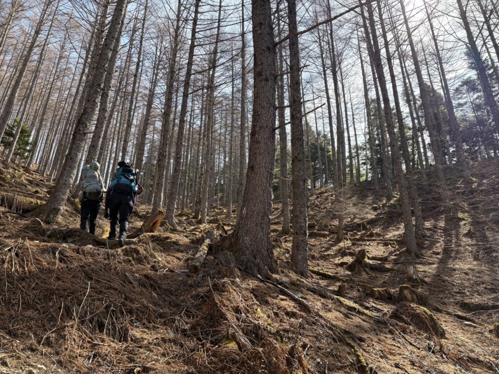2026.3.21-23 南ア・塩見岳(雪山)