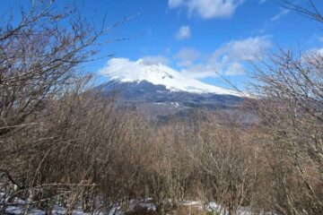 2026.3.8　愛鷹連峰・越前岳（ハイキング）