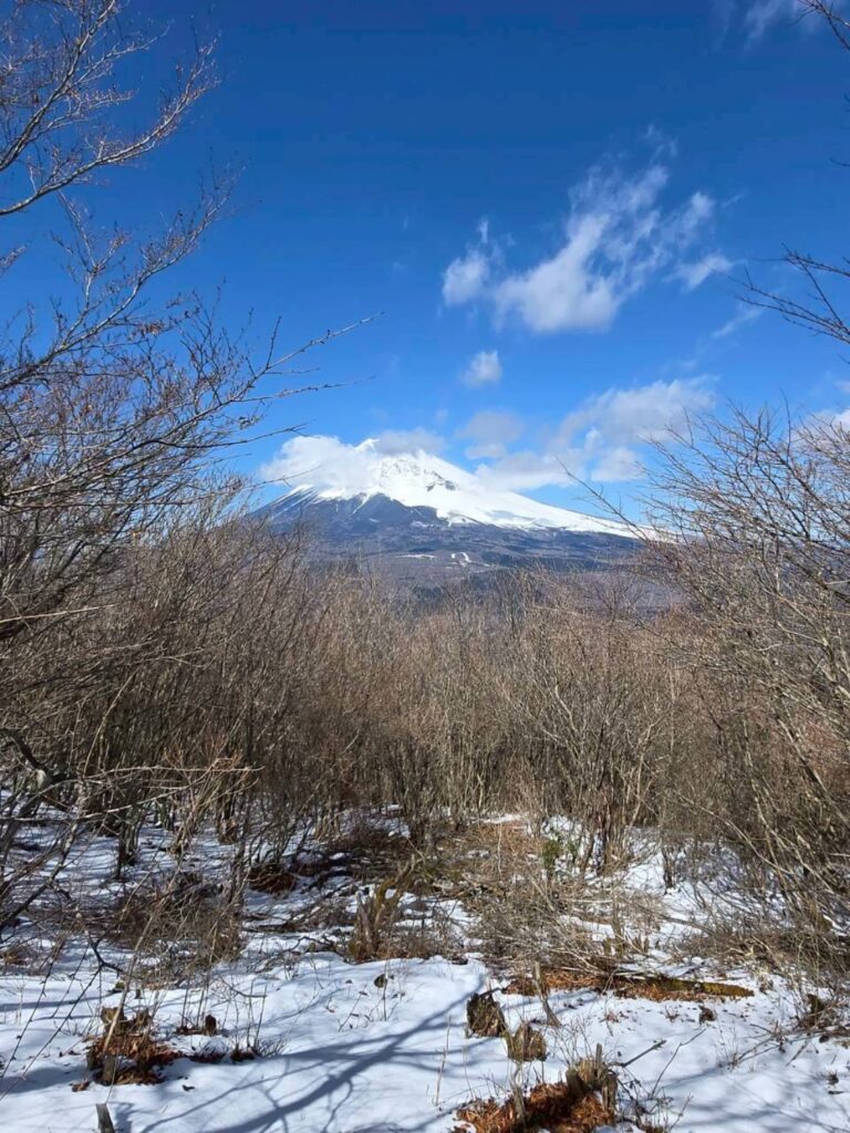 2026.3.8　愛鷹連峰・越前岳（ハイキング）
