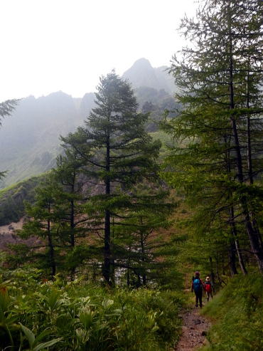 2020.8.8　黒斑山（ハイキング）