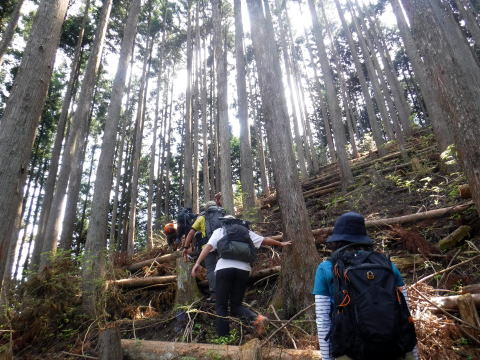 2022.6.5 御前山(尾根歩き)