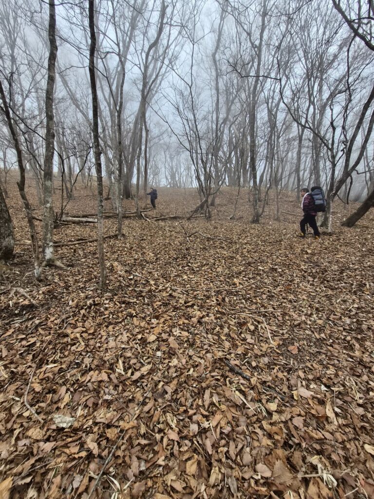 2026.3.20-22 小佐飛山(雪山)
