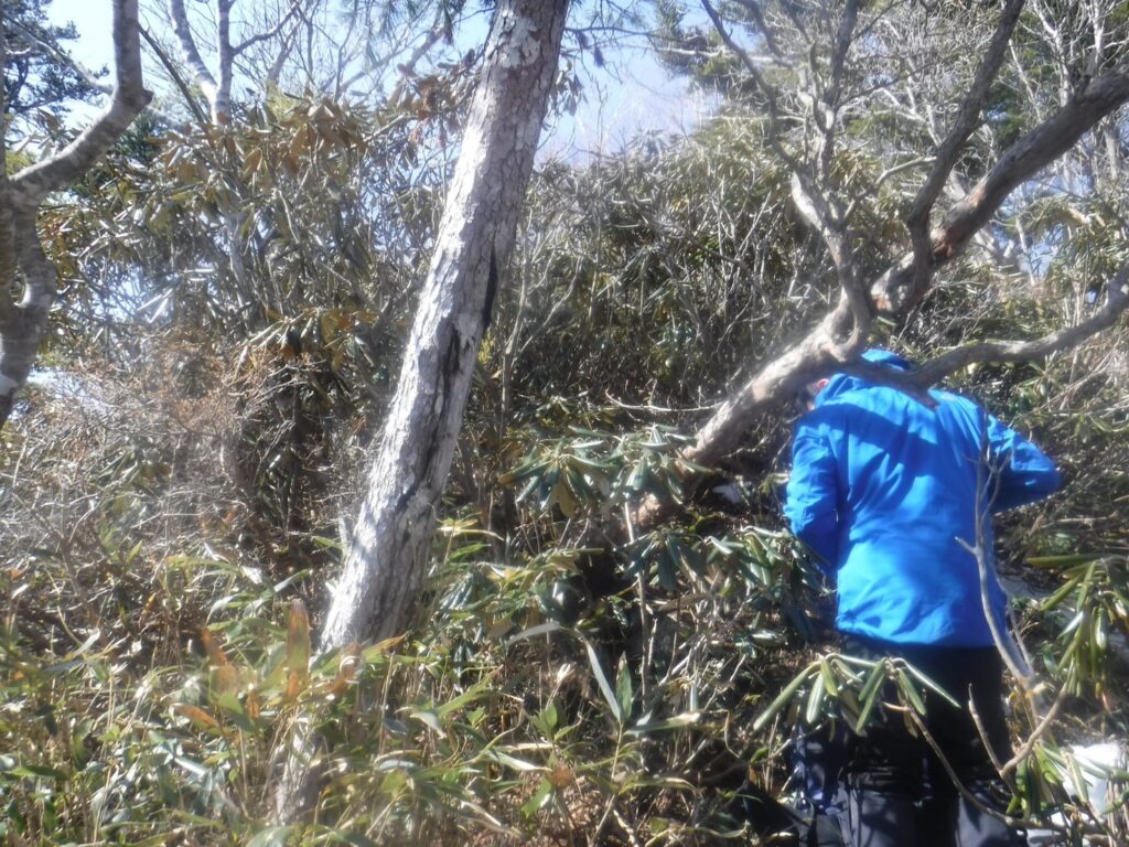2026.3.20-22 小佐飛山(雪山)
