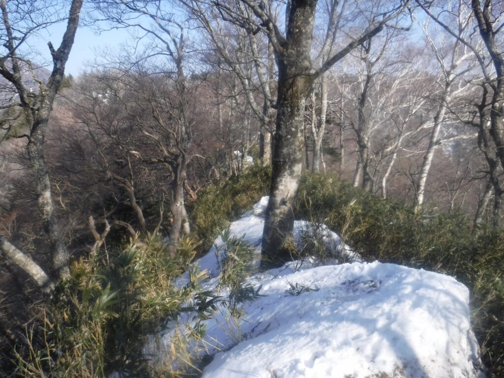 2026.3.20-22 小佐飛山(雪山)